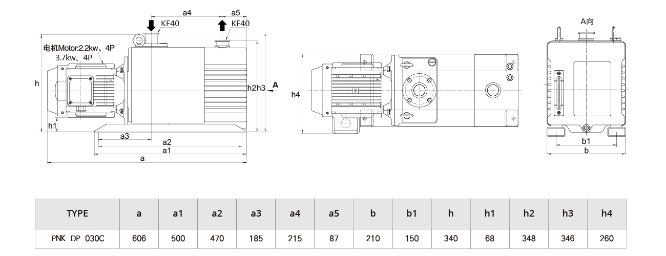 PNK DP 030C雙級旋片真空泵 PNK DP 030C雙級旋片真空泵