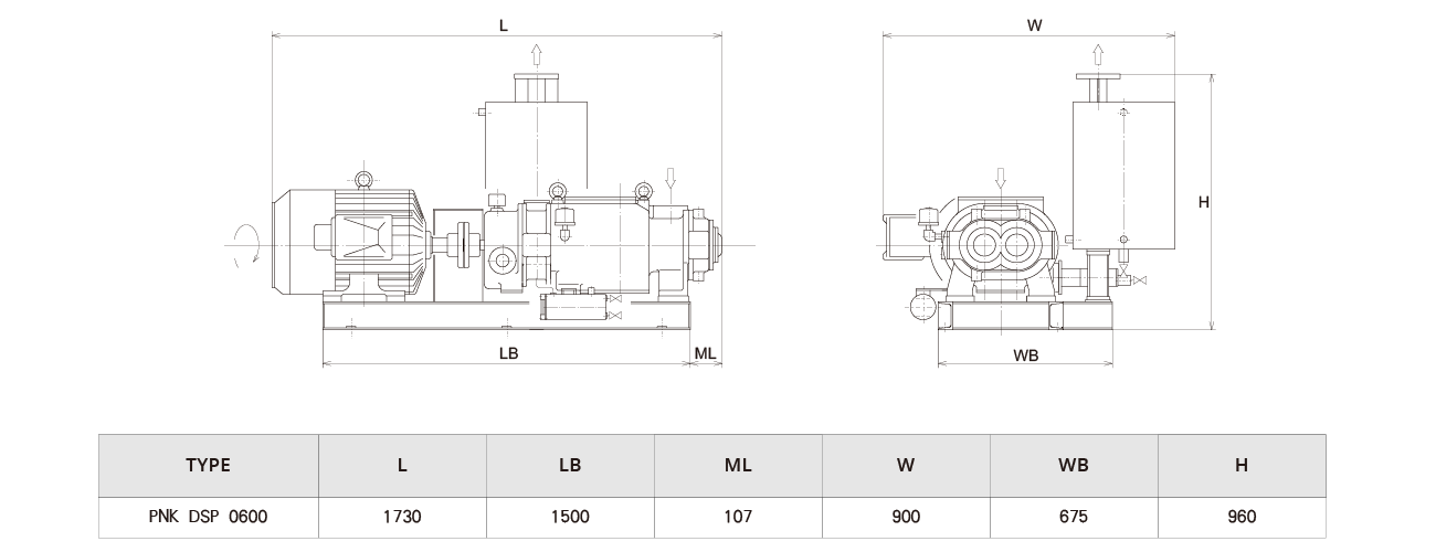 PNK DSP 0600螺杆真空泵 PNK DSP 0600螺杆真空泵