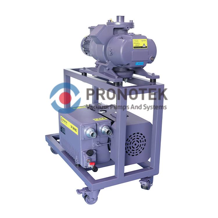 91污PNK VS MR600-DP60羅茨泵機組